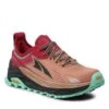 Chaussures Altra Olympus 5 AL0A7R74961-060 Brown/Red