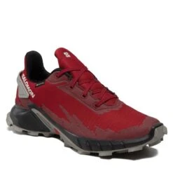 Chaussures Salomon Alphacross 4 Gtx GORE-TEX 417228 26 V0 Biking Red/Black/Frost Gray